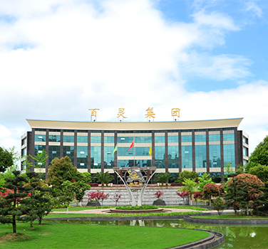 貴州百靈（líng）集團